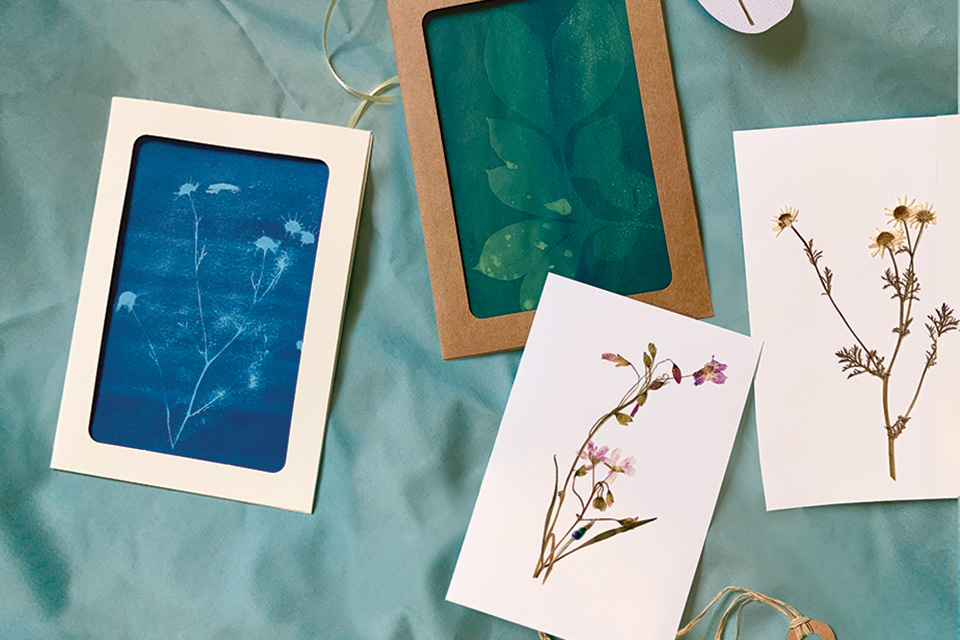 Heritage Haven Farm's cards and bookmarks (photo by Rachael Jirousek)