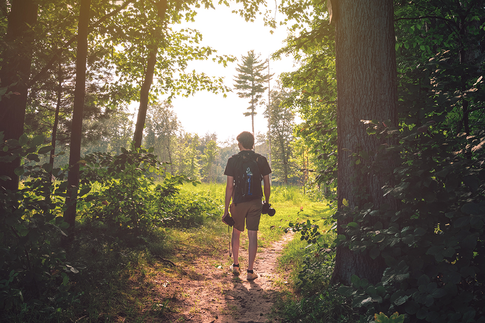 Oak Openings Preserve Metropark (phot by Mike Balonek)