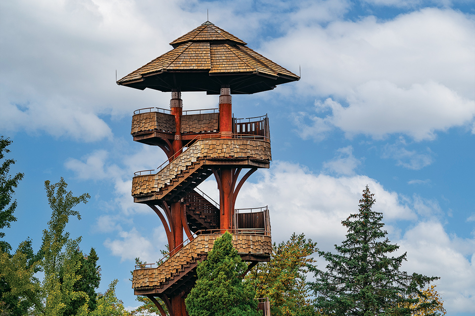 Tree Tower at Cox Arboretum in Dayton (photo by Matthew Kirby)