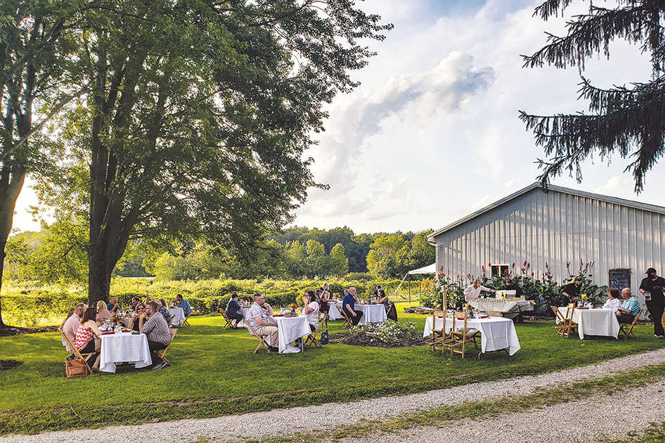 Patrons enjoying the outdoor seating at Shamrock Vineyard in Waldo (photo courtesy of Shamrock Vineyard)