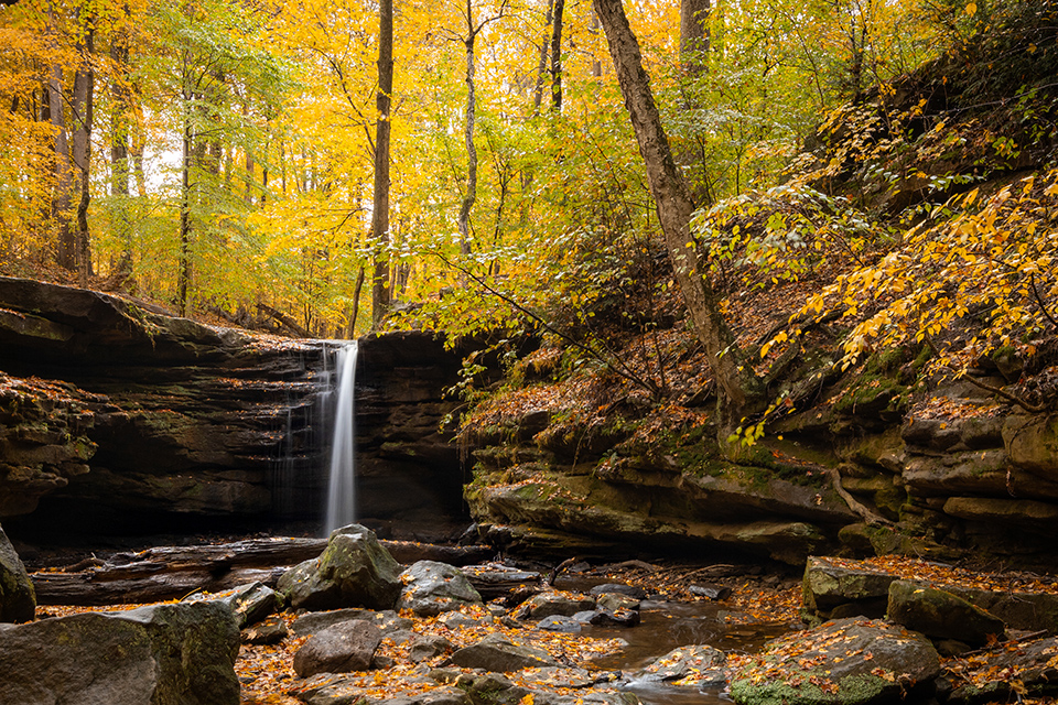 Scenic view of Dundee Falls in the Beach City Wildlife Area (photo by Nick Hoeller)