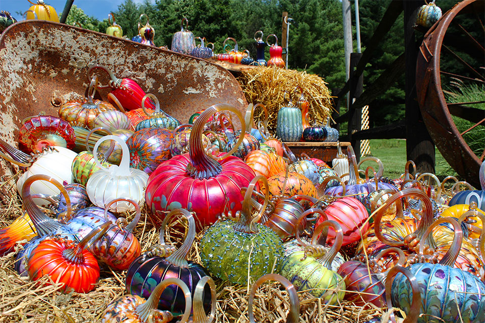 Glass pumpkins displayed at Jack Pine Studio's Glass Pumpkin Festival (photo courtesy of Jack Pine Studio)