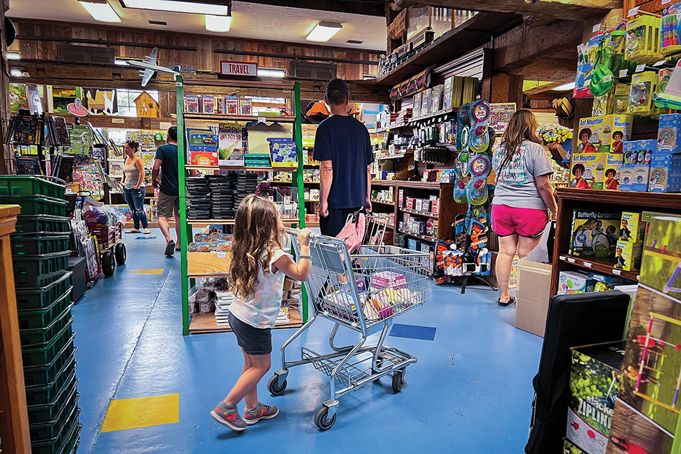 Girl pushing shopping cart in Lehman’s in Kidron (photo by Laura Watilo Blake)