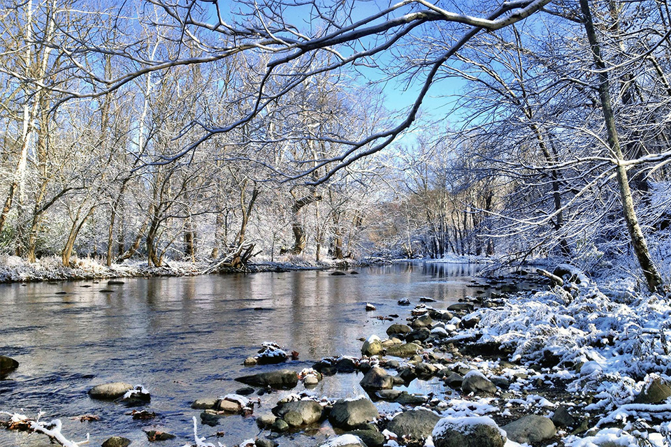 Battelle Darby Creek Metro Park (photo by A. Colgan, courtesy of Columbus and Franklin County Metro Parks)