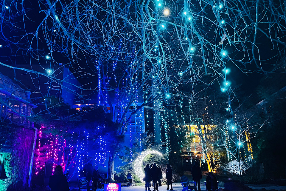 Conservatory Aglow at Franklin Park Conservatory (courtesy of Franklin Park Conservatory)