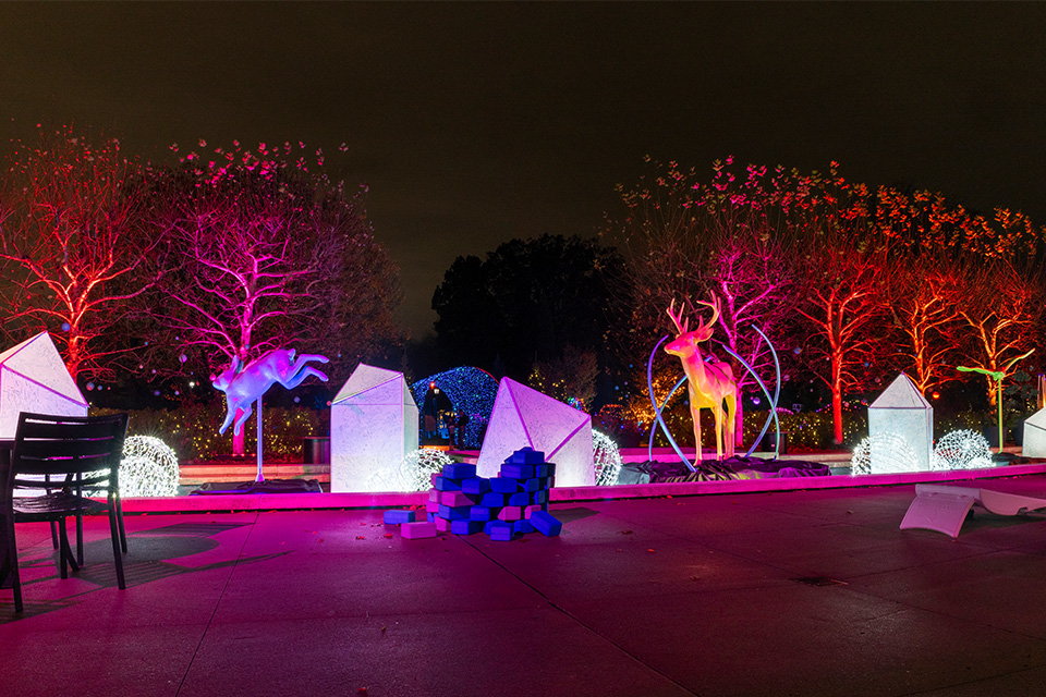 Tundra Terrace during Frost at Cleveland Botanical Garden (courtesy of Cleveland Botanical Garden)