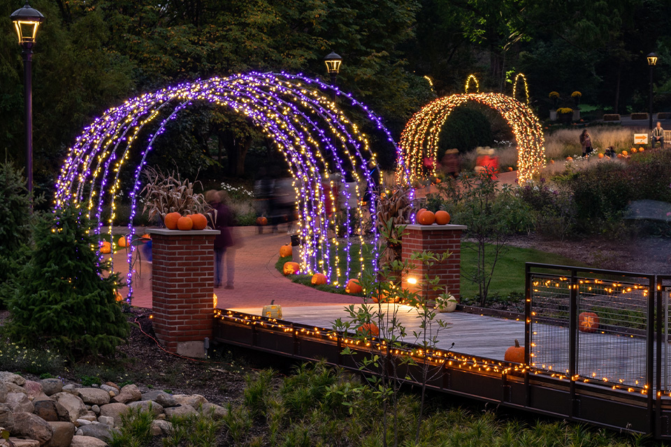 The Great Pumpkin Glow (courtesy of Kingwood Center Garden)