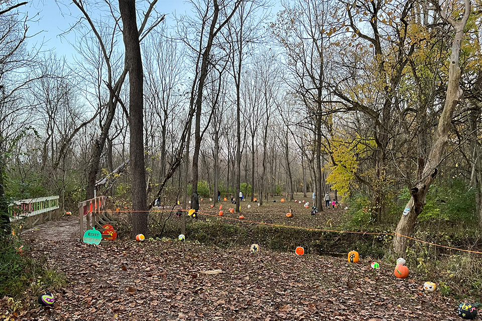 Pumpkin Glow at Caesar Ford Park (courtesy of Greene County Parks)