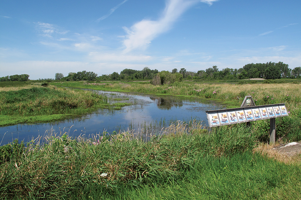 Observation area at Oak Harbor’s Magee Marsh (photo courtesy of Ohio Department of Natural Resources)