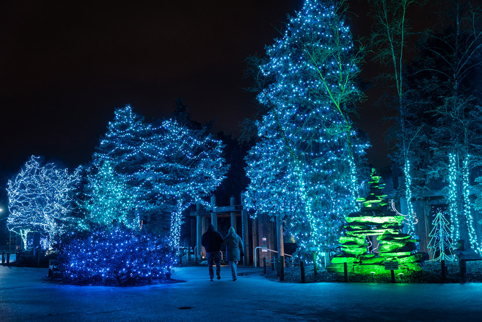 Couple at Toledo Zoo & Aquarium’s Lights before Christmas (photo by Corey Wyckoff)