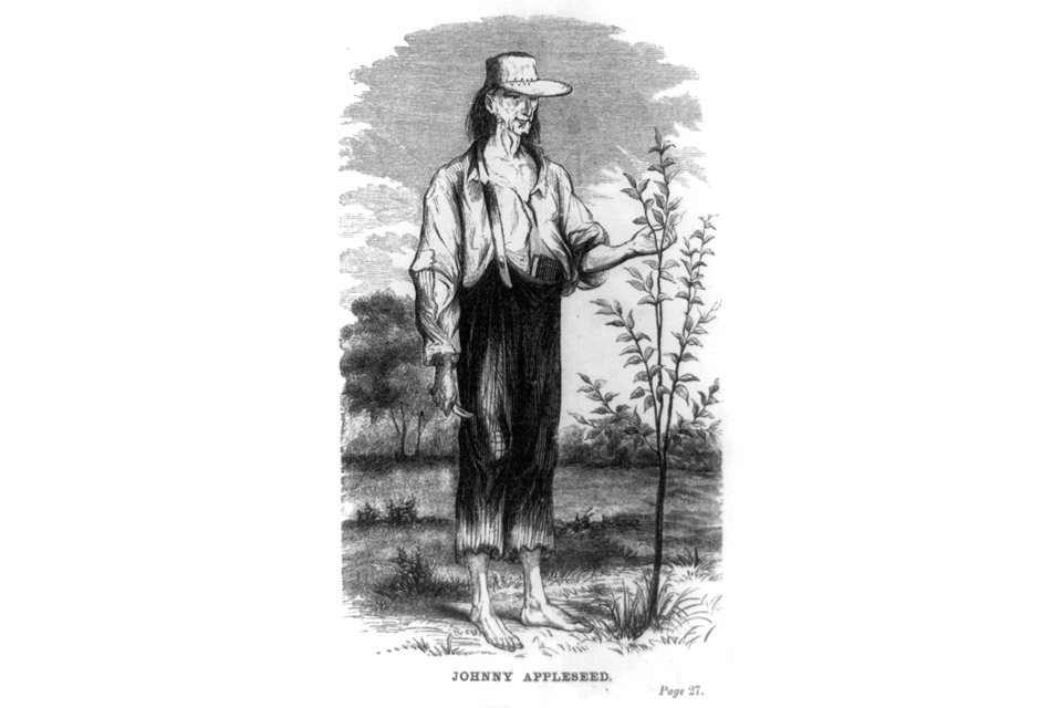 Sketch of John “Johnny Appleseed” Chapman standing beside an apple tree sapling (photo courtesy of Library of Congress)