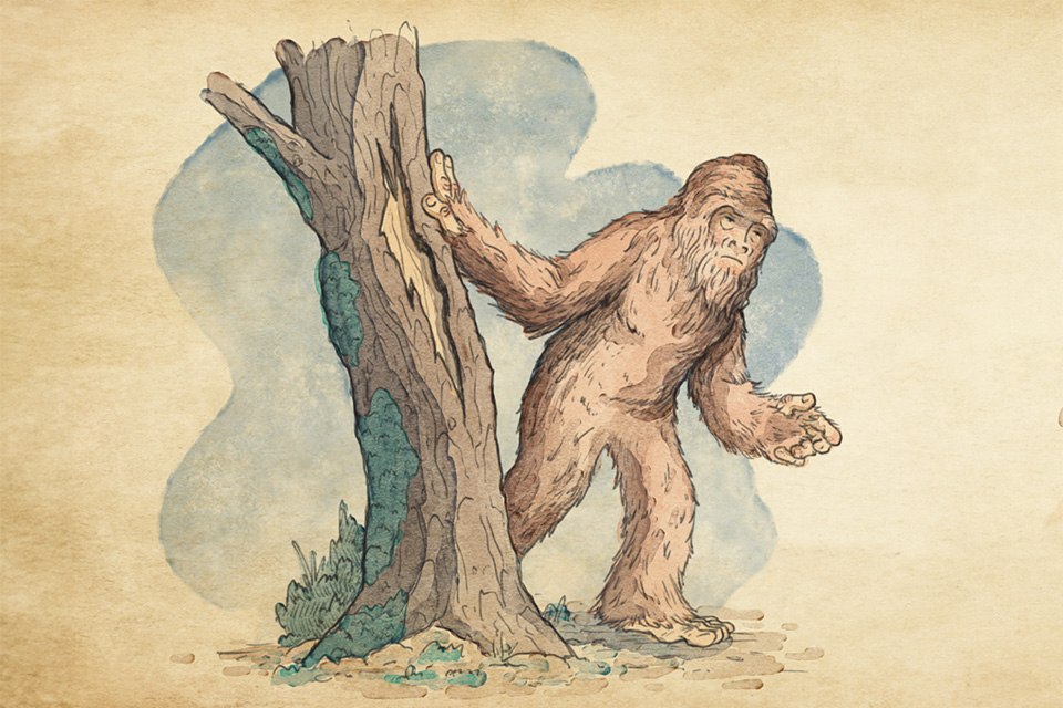 Bigfoot (illustration by Oliver Allison)