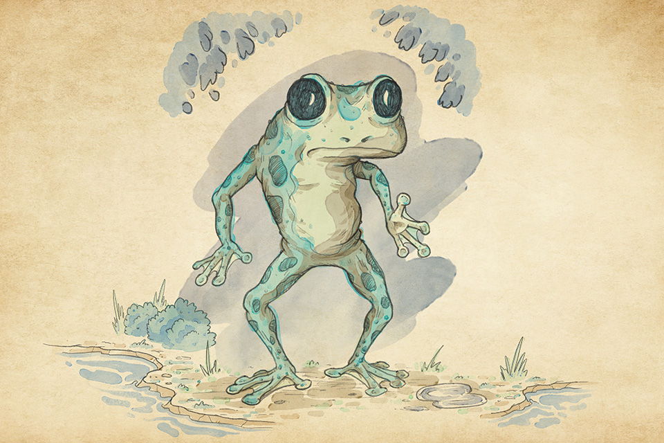 Loveland Frog (illustration by Oliver Allison)