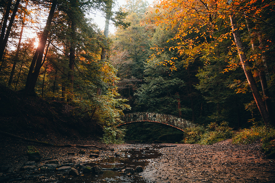 Bridge at Hocking Hills State Park in Logan (photo by Sam Chia)