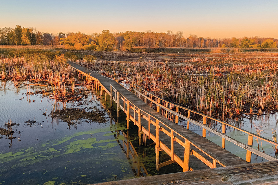 Boardwalk at Maumee Bay State Park in Oregon (photo by Lee J. Markowitz)