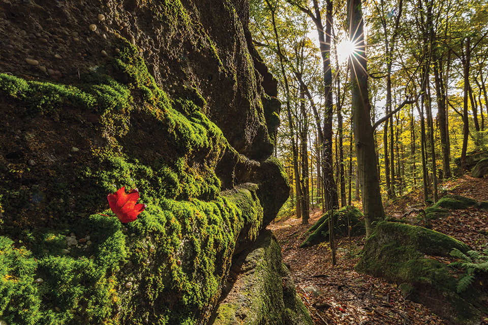 Nelson-Kennedy Ledges State Park in Nelson Township (photo by Jeff Smith)