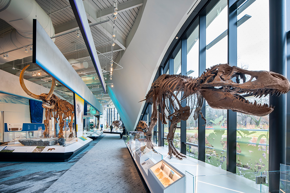 CMNH Interior (DLR Group © Kevin G Reeves)