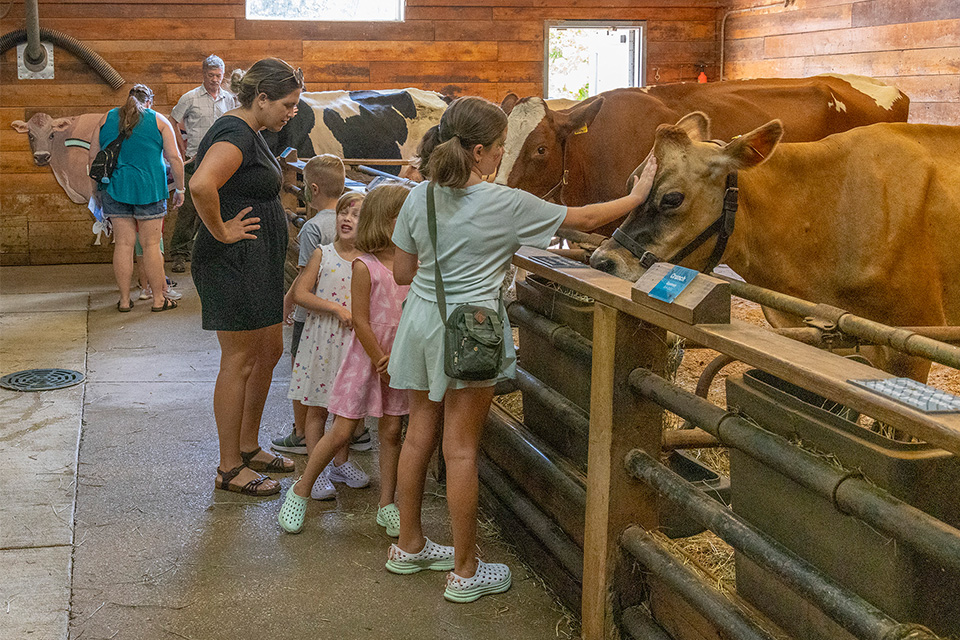 Enjoy Family Fun on the Farm in Lake County