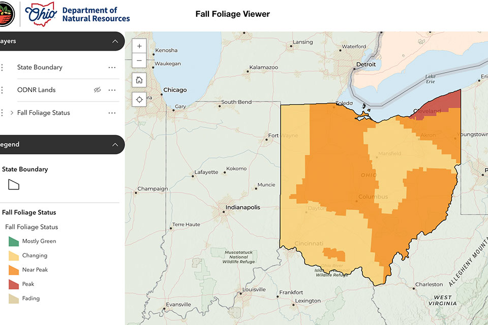 ODNR Fall Color Report Oct. 17, 2025