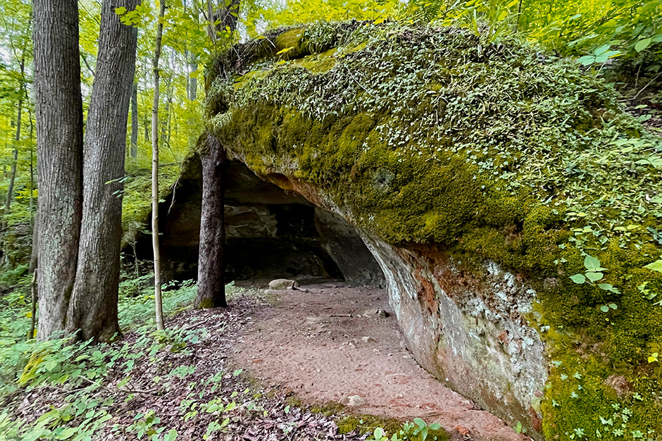 Lowe forest cave (photo by Terry Seidel, courtesy of The Nature Conservancy)