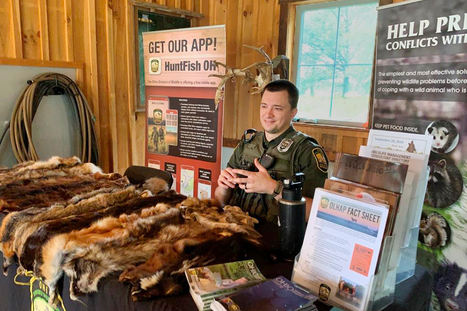 Go Wild A Nature Fair (courtesy of Fairfield County Parks)
