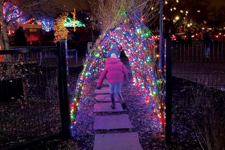 Conservatory Aglow (courtesy of Franklin Park Conservatory and Botanical Gardens)