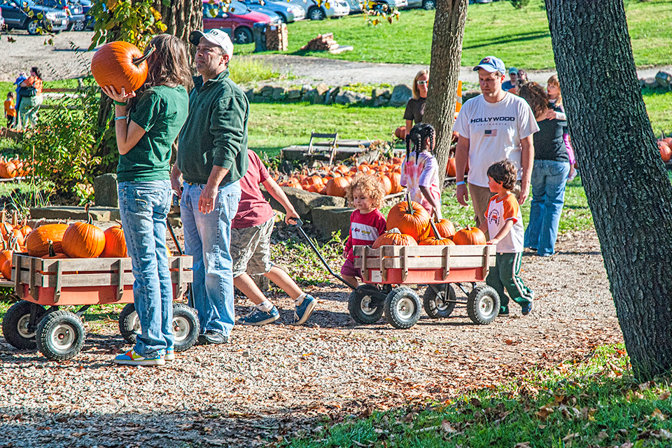 Heritage Farms Pumpkin Pandemonium (courtesy of Heritage Farms)