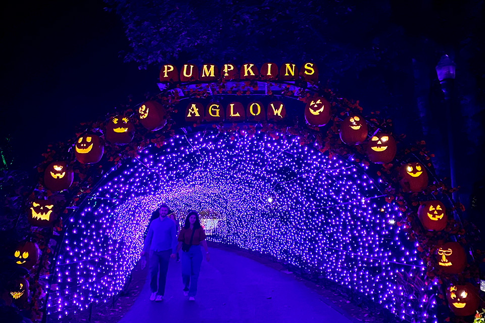 Display at Pumpkins Aglow (courtesy of Franklin Park Conservatory)