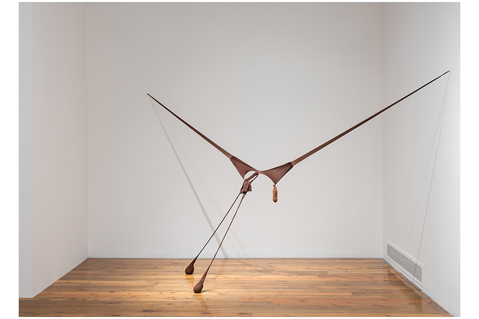 Senga Nengudi, R.S.V.P. X, 1976/refabricated 2014, exhibition copy. Nylon, sand, rose petals. Hirshhorn Museum and Sculpture Garden, Joseph H. Hirshhorn Purchase Fund, 2016. Photo: Mario Gallucci