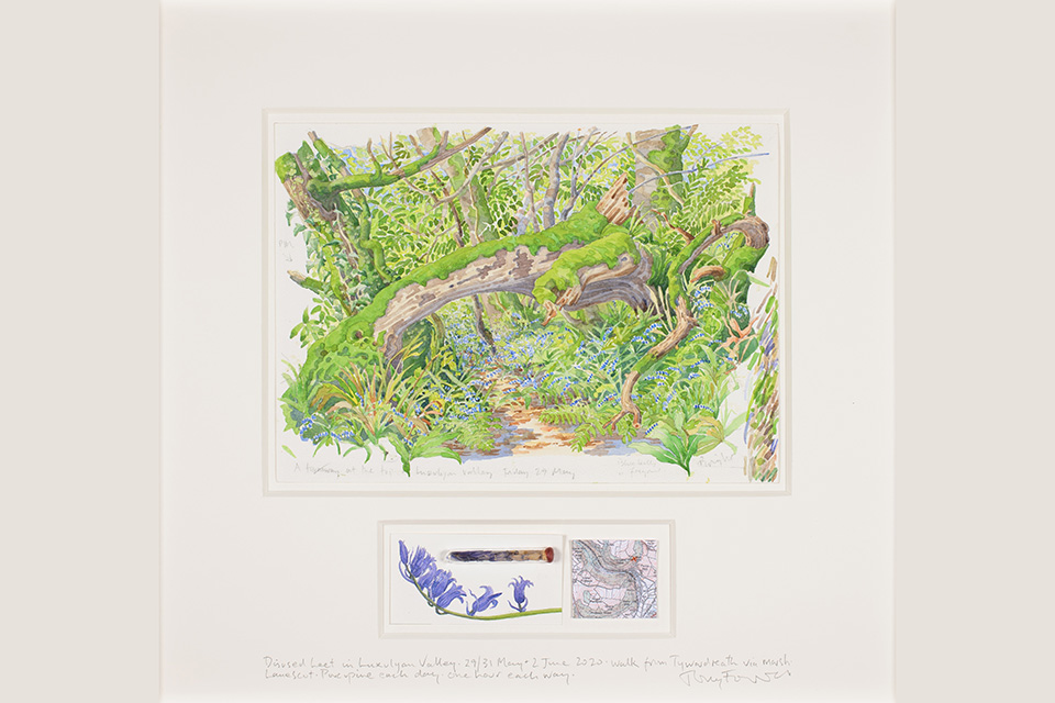 Tony Foster Rewilding Disused-Leat, Luxulyan Valley, Mineral Extraction Ceased 1908, 2020 Photo Paul Mounsey (photo courtesy of The Foster Museum)