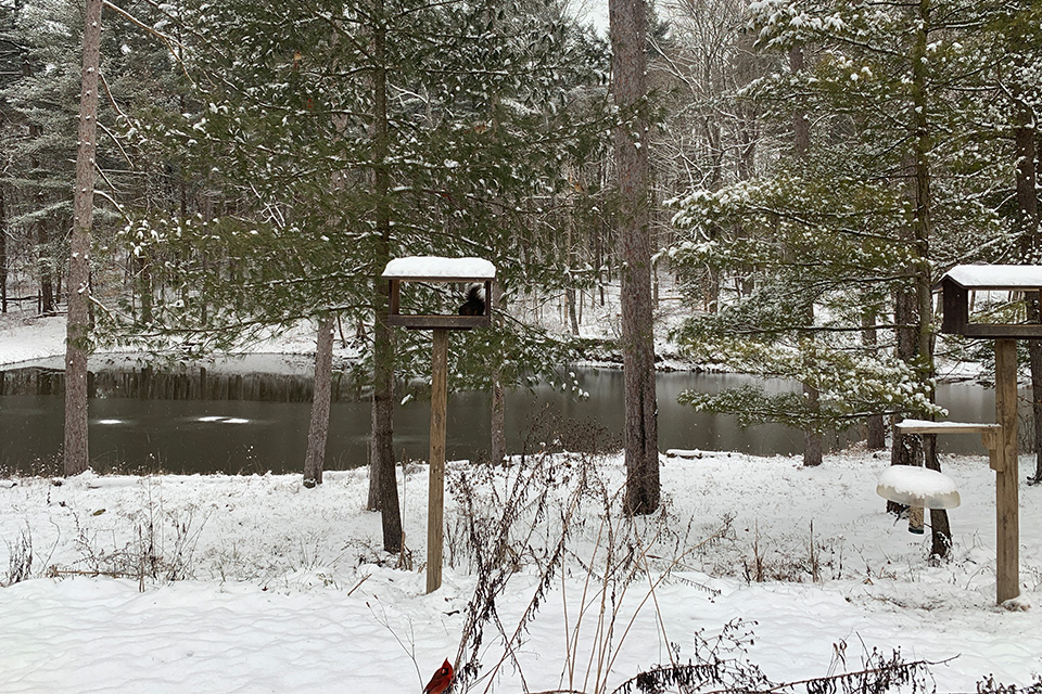 Breakfast and Birding (photo courtesy of Fairfield County park District)