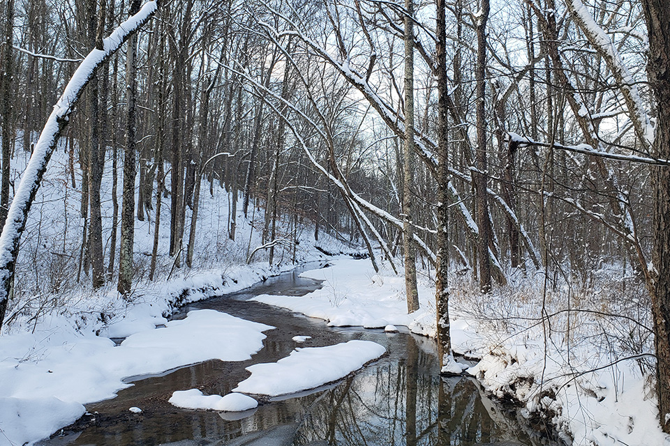 Snowy Scene in Lake Hope State Park (photo courtesy of ODNR Flickr)