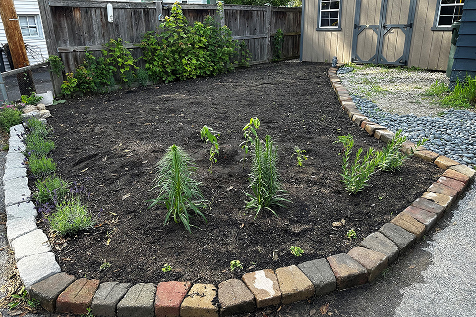 Native Plant Backyard Challenge (courtesy of Grange Insurance Audubon Center)