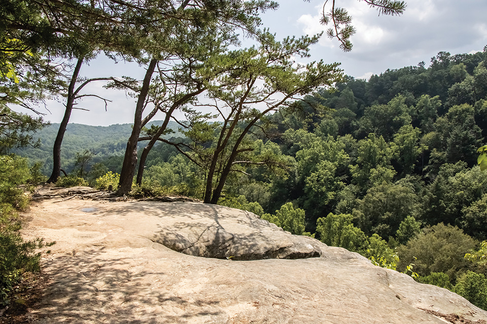 Conkles Hollow Rim Trail at Conkles Hollow State Nature Preserve in Rockbridge (photo by Ted Kessel)