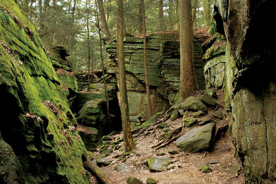 The Ledges Trail at Cuyahoga Valley National Park in Peninsula (photo by Rachael Jirousek)