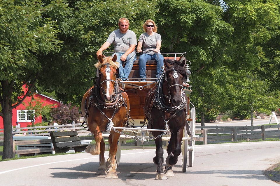People on a horse and carriage at Lake Metroparks Farmpark in Kirtland (photo by Linda Janosko)