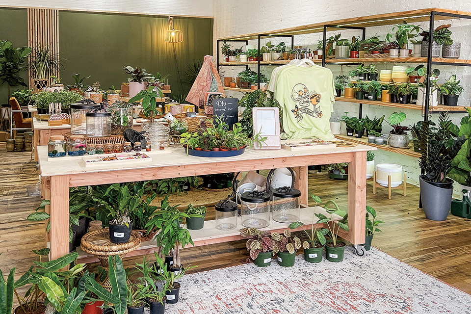Modern Plantsman in Wapakoneta (photo courtesy of Modern Plantsman)