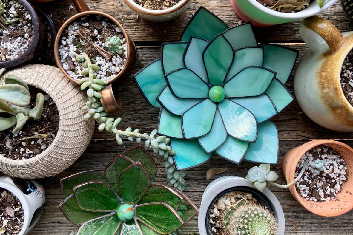 Stained glass succulents by Freckles and Flux in Cleveland (photo courtesy of Freckles and Flux)