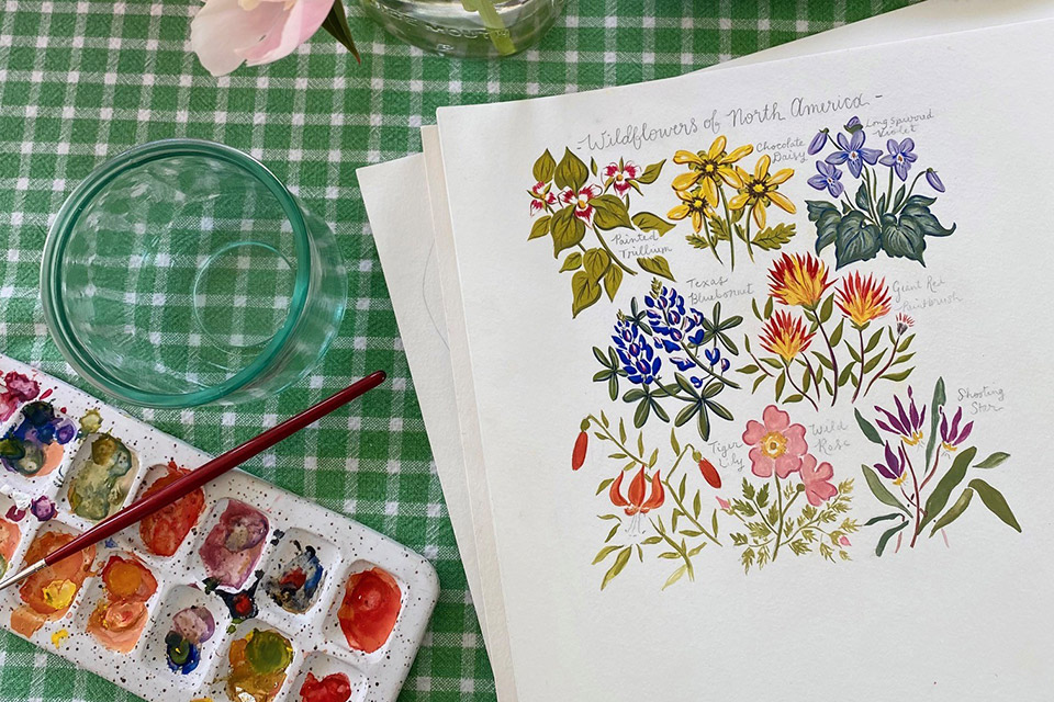 Isabella Cartolano’s “Wildflowers of North America” painting for HandHeld & Co. in Columbus (photo courtesy of HandHeld & Co.)