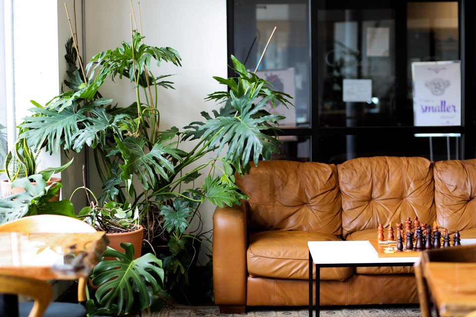 Interior of Juniper Brewing Co. in Bowling Green (photo courtesy of Juniper Brewing Co.)