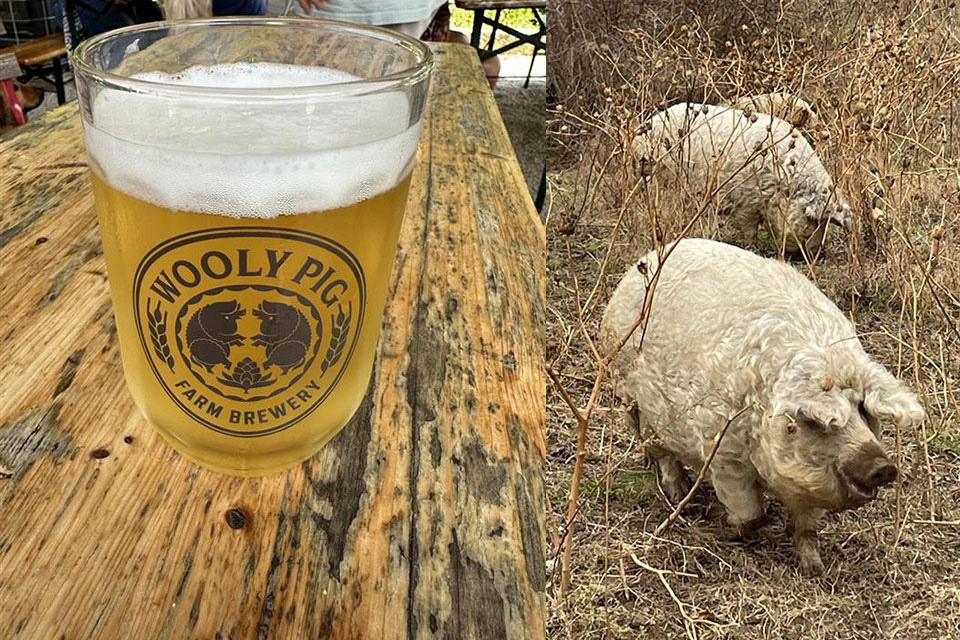 Wooly Pig Farm Brewery (Jim Vickers)