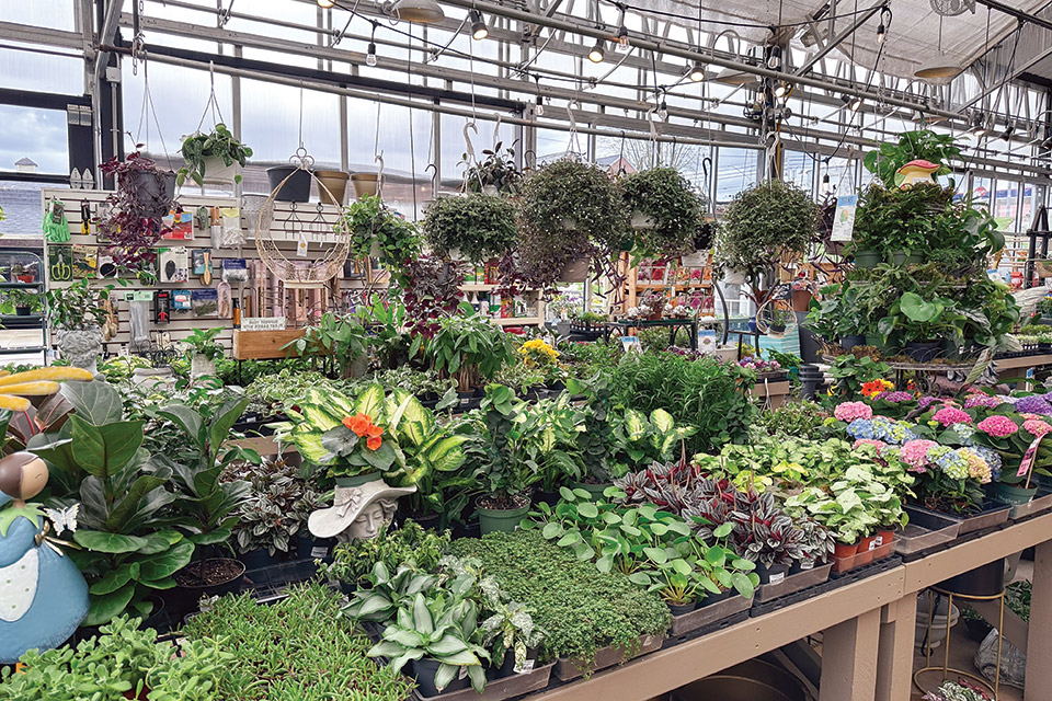 The Gardens at Sheiyah Market in Berlin (photo courtesy of Sheiyah Market)