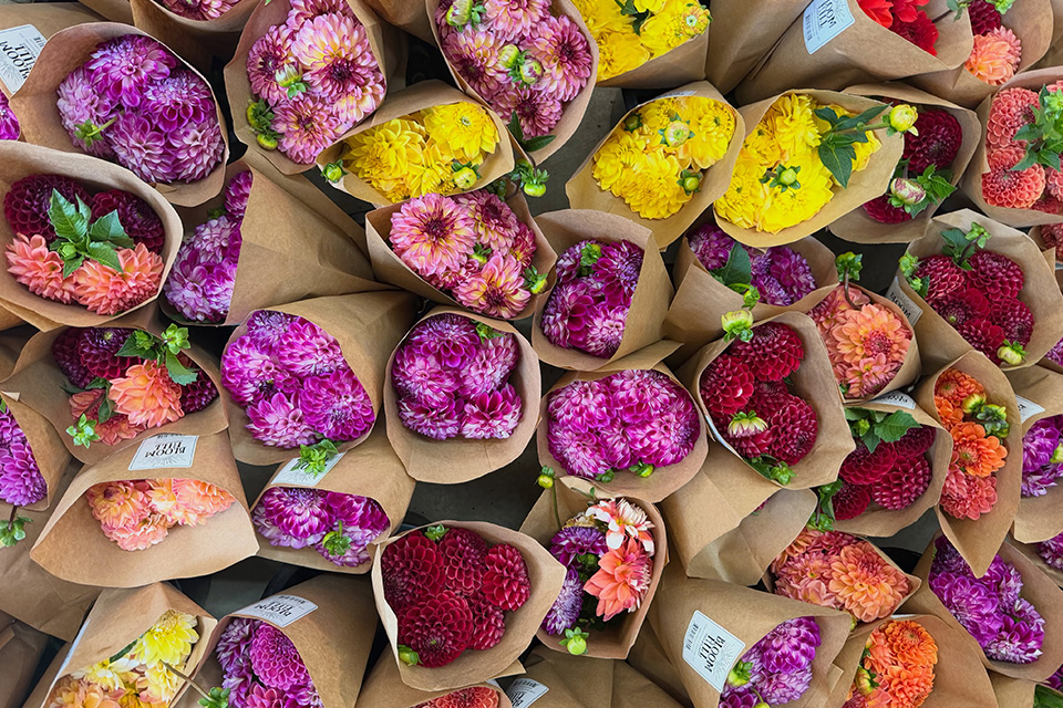 The Best Autumn Flowers for Seasonal Home Decor