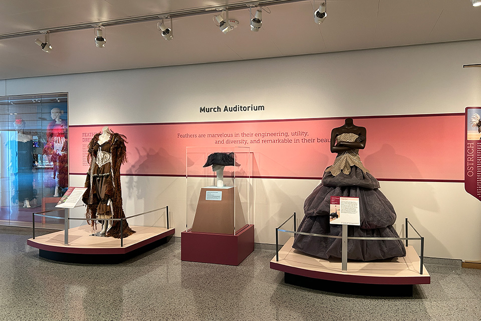 The exhibition on display inside the Cleveland Museum of Natural History (photo by Lainey Novak)