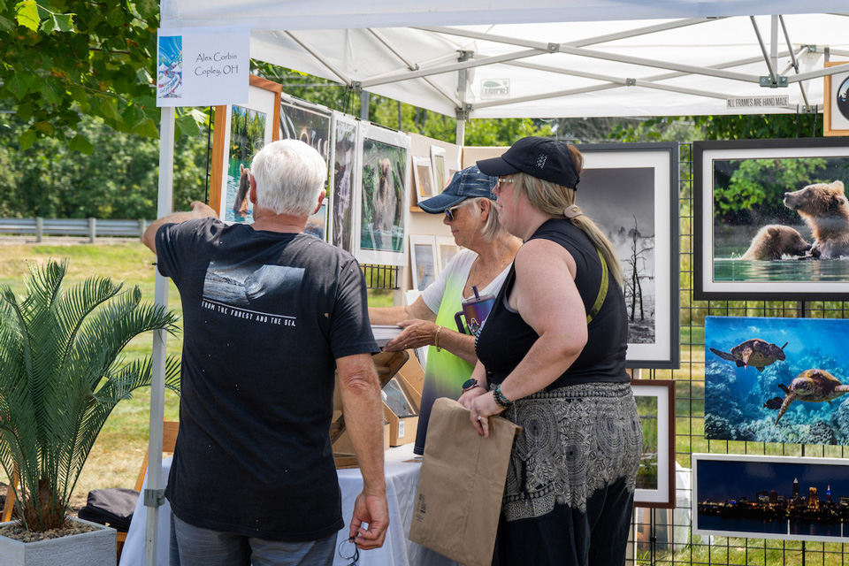 People looking at art at Art-a-Palooza in Green (photo courtesy of City of Green)
