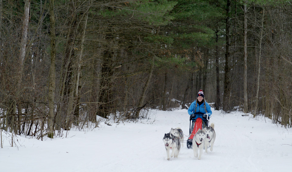 Woman riding dogsled in snow from “Ohio: Wild at Heart” movie (photo courtesy of Ohio Department of Natural Resources)