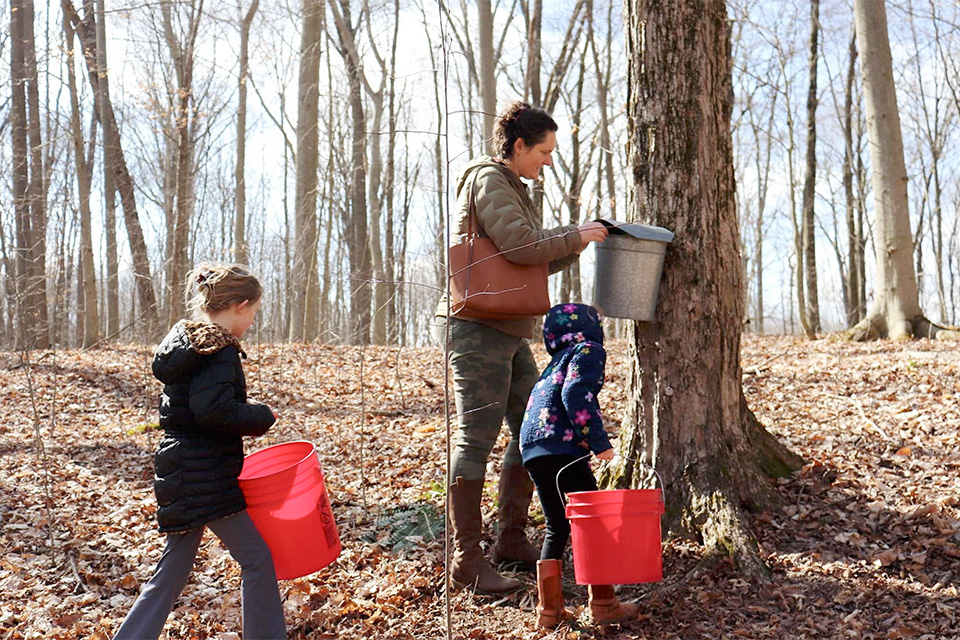 Family walking through the woods for Maple Madness Driving Trail (photo courtesy of Ohio Maple Producers Association)