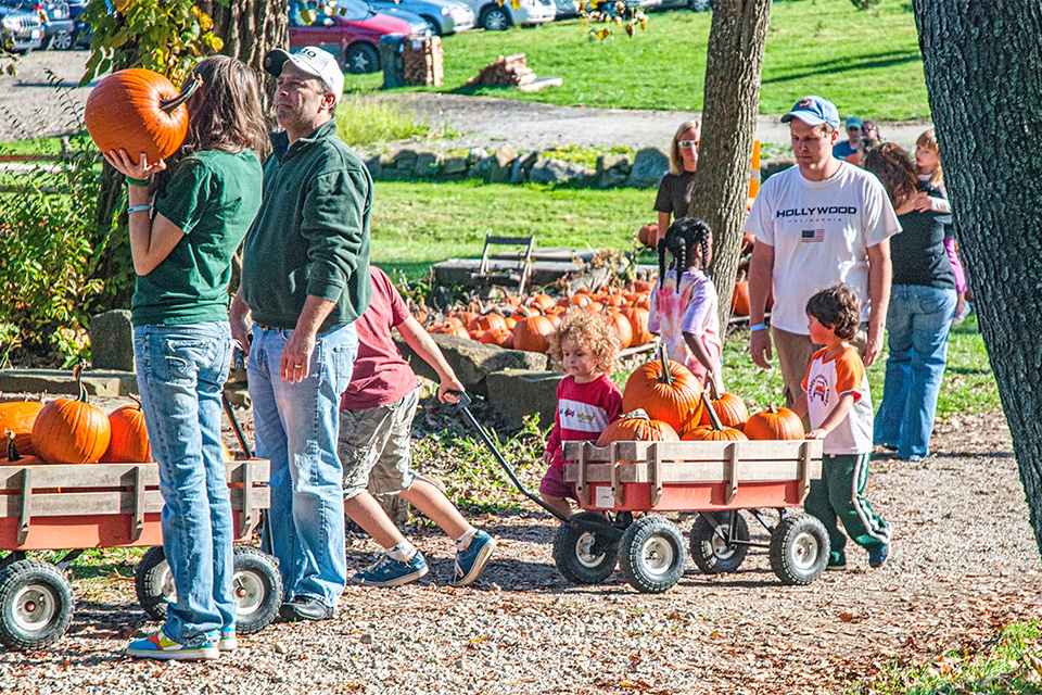 Kids and parents with wagon of pumpkins at Pumpkin Pandemonium in Hamilton (photo courtesy of Pumpkin Pandemonium)