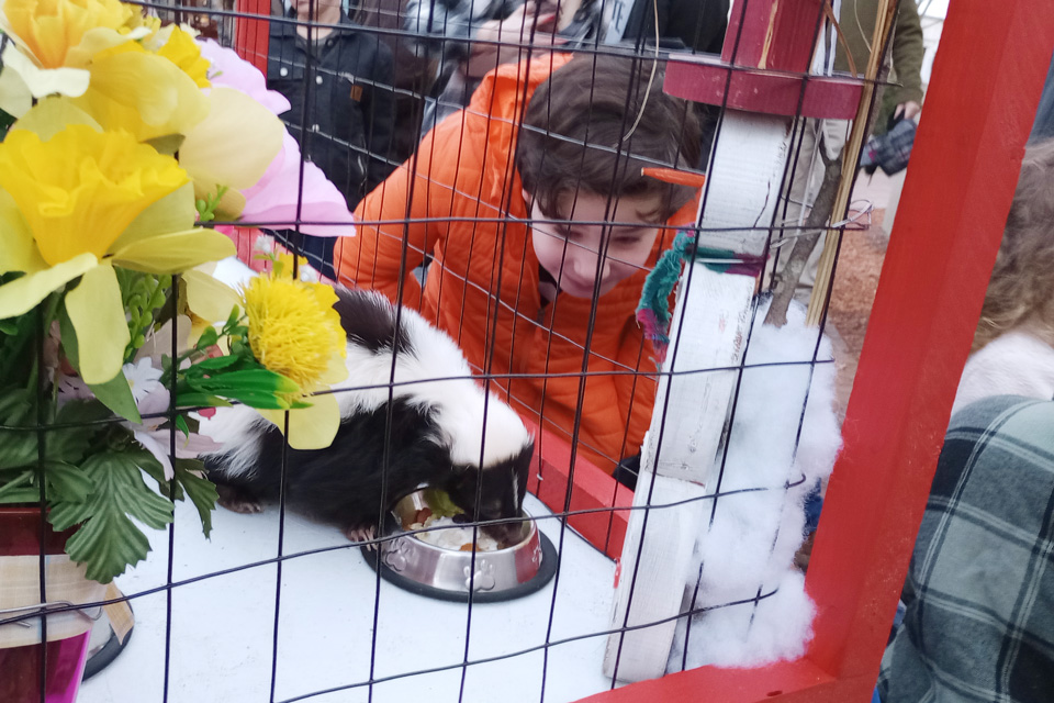 Poppy the Skunk (photo courtesy of Lancaster Parks & Recreation)