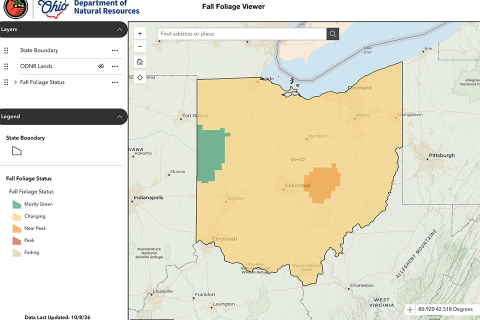 An Oct. 8, 2026 screen grab of the 2026 Ohio Fall Color Progress Map (Ohio Department of Natural Resources)